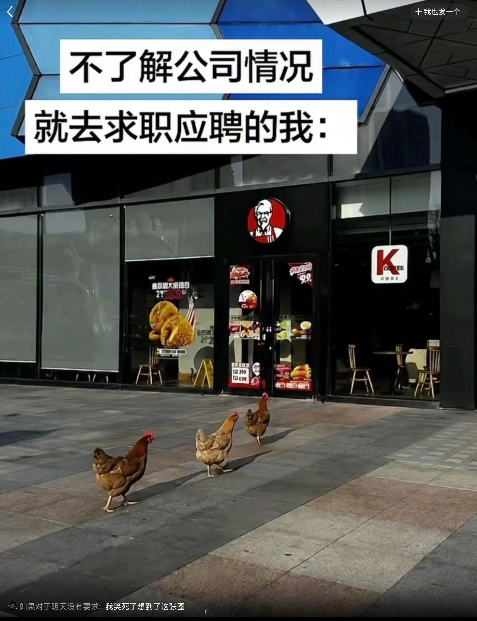 《优鸡主义》