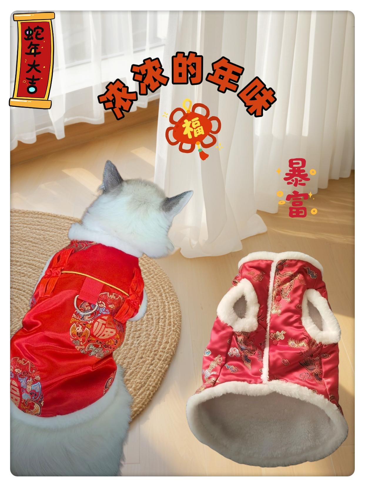 毛孩子新年快乐呀！