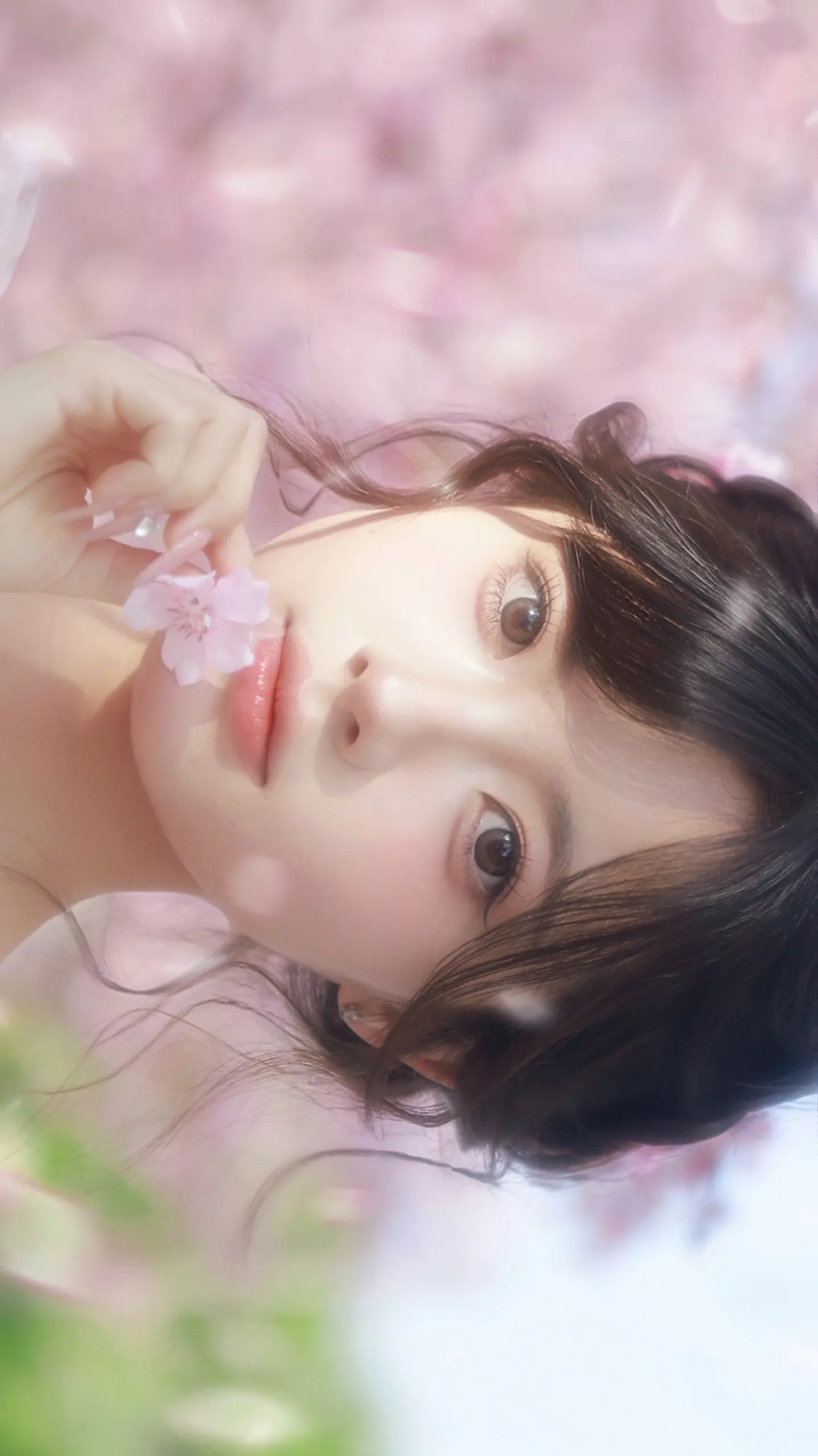 横屏食用。🌸春来时