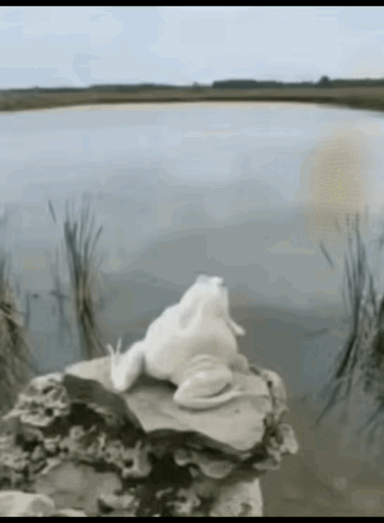 谁跟我说这个不是AI，我跟谁急。