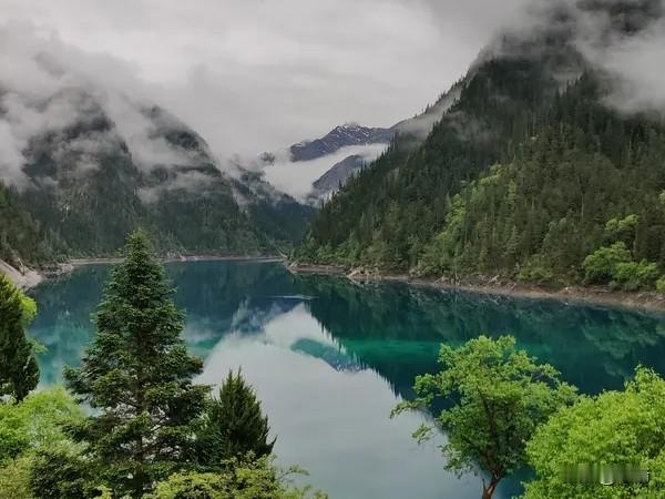 今年春天最想实现的心愿 今年春天最想实现的心愿，就是休息的时候去九寨沟。清明雨前