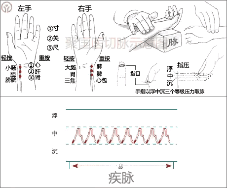 #原来这就是中医把脉的科学性#传统医学是“望闻问切”，其中的“切”，切脉也就是脉