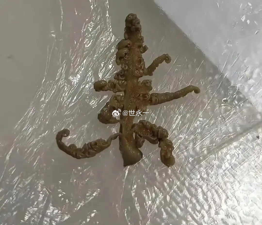 吃麻辣烫吃到的，人都麻了，有没有人知道这是什么？ 
