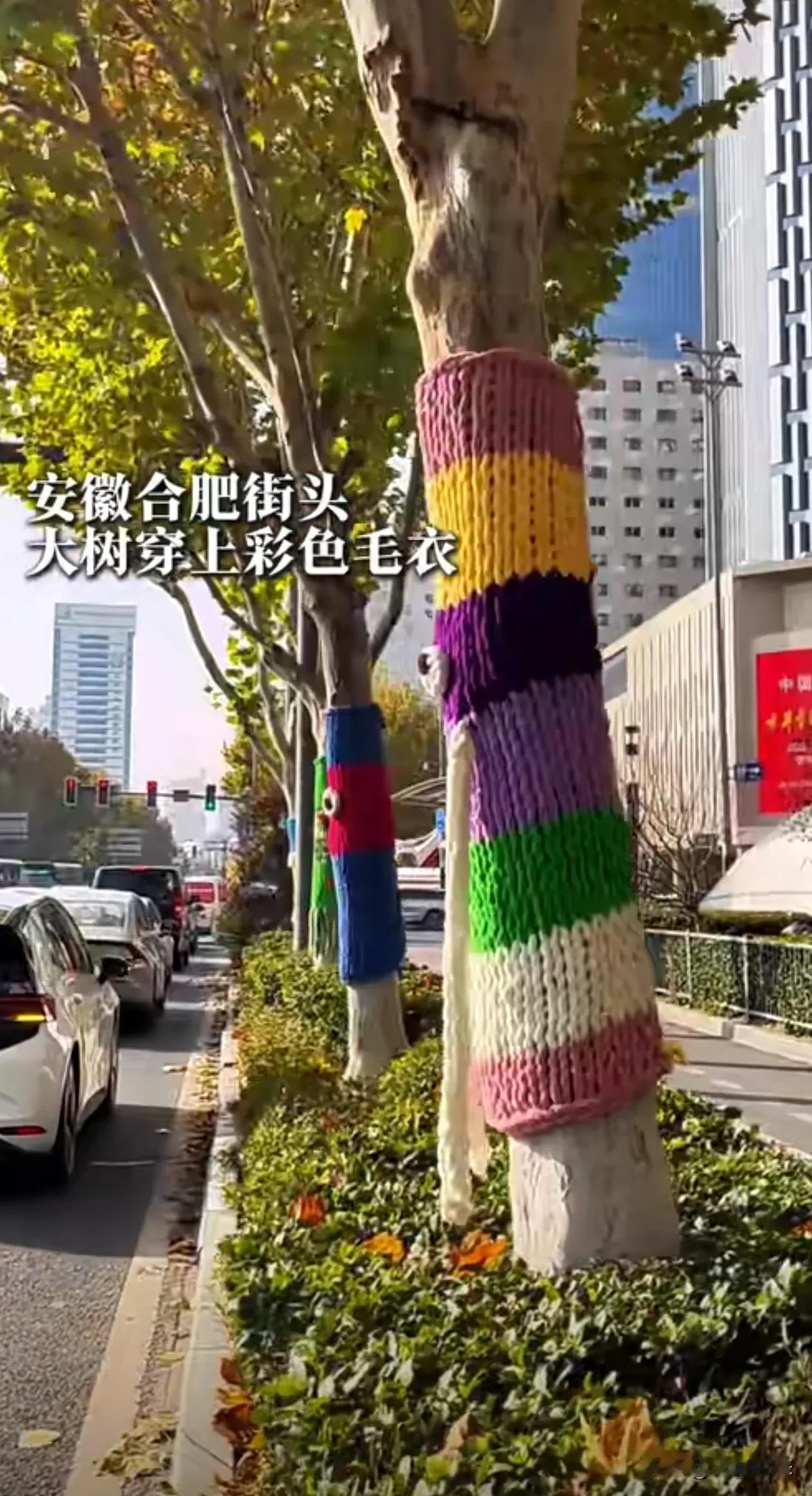 合肥大街上，给大树穿上了毛衣，太讽刺了
近日合肥市某地百货大楼门口，路边一排排大