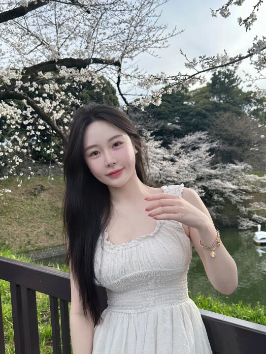 千鸟之渊樱花