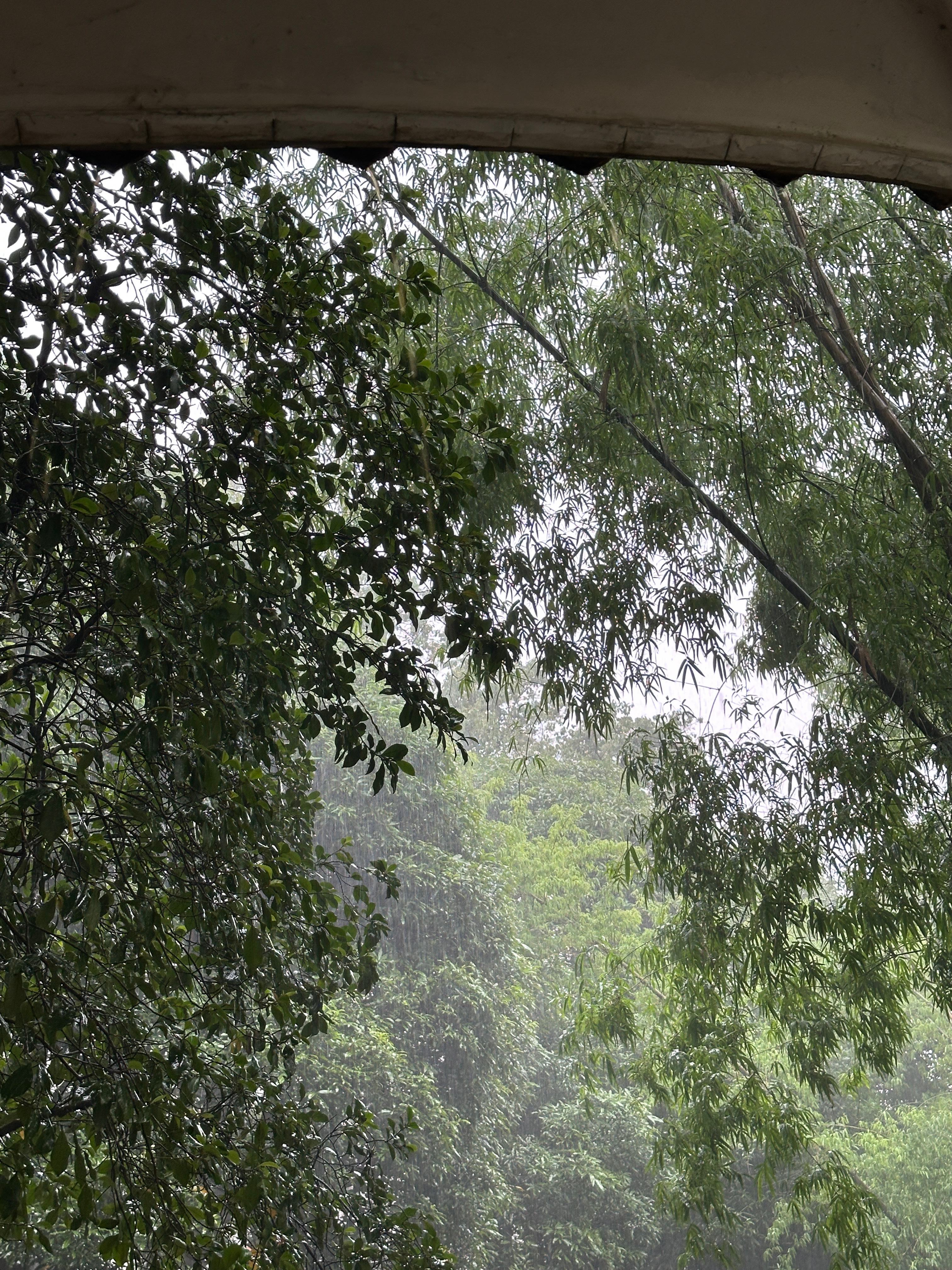 又是下雨天🌧️ ​​​