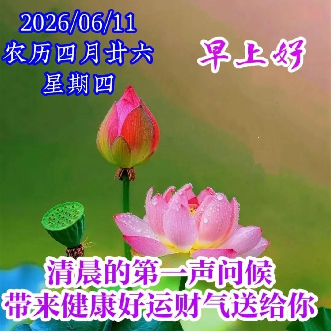 清晨到，阳光照，鸟儿枝头喳喳叫。伸个懒腰精神好，烦恼忧愁全忘掉。愿你天天没烦恼，