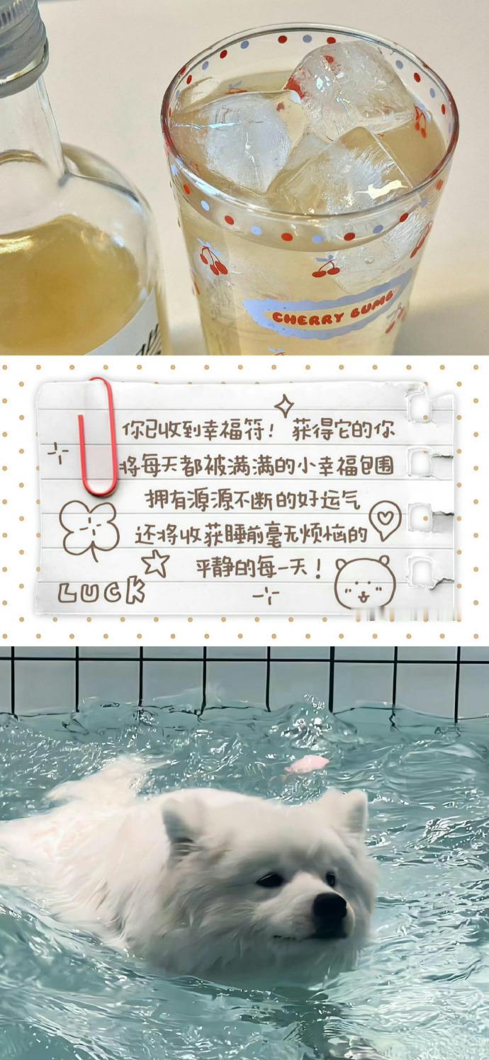手机壁纸｜锁屏｜聊天背景图｜高清无水印 