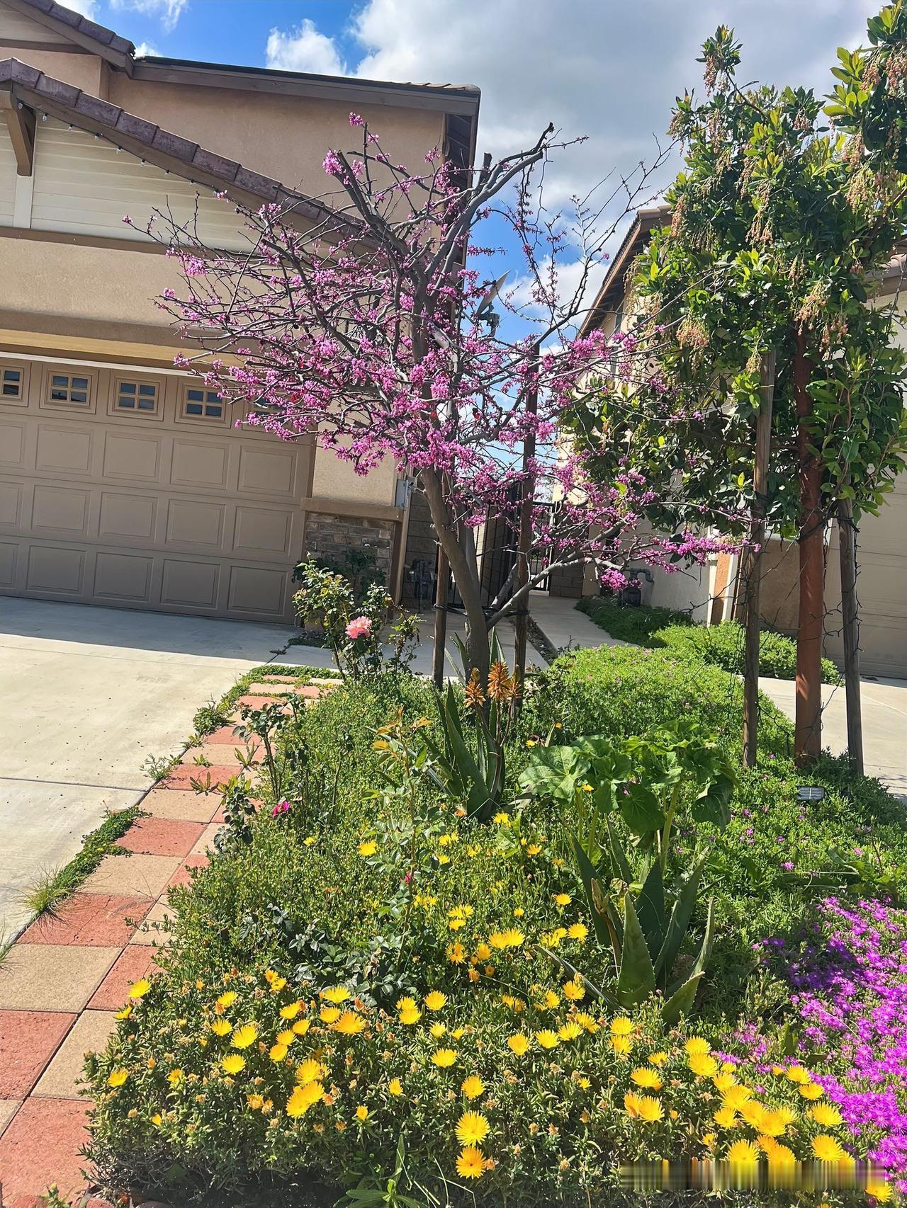 今天写的文章，一共有六篇小作文，四篇没有通过审核，按照往常的习惯，手指一划删除。