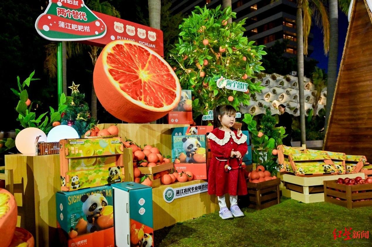 吹着维多利亚港的海风,吃着蒲江耙耙柑 成都文旅IP亮相香港