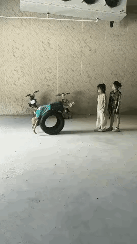 你还别说，小孩子玩着玩着就会后空翻了。 ​​​