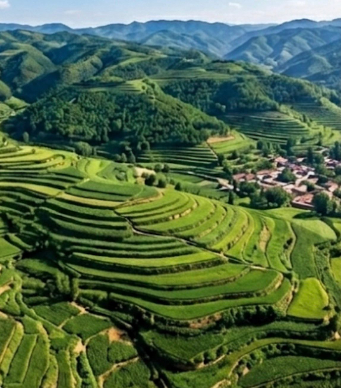 这是黄土高原，你敢信？ 