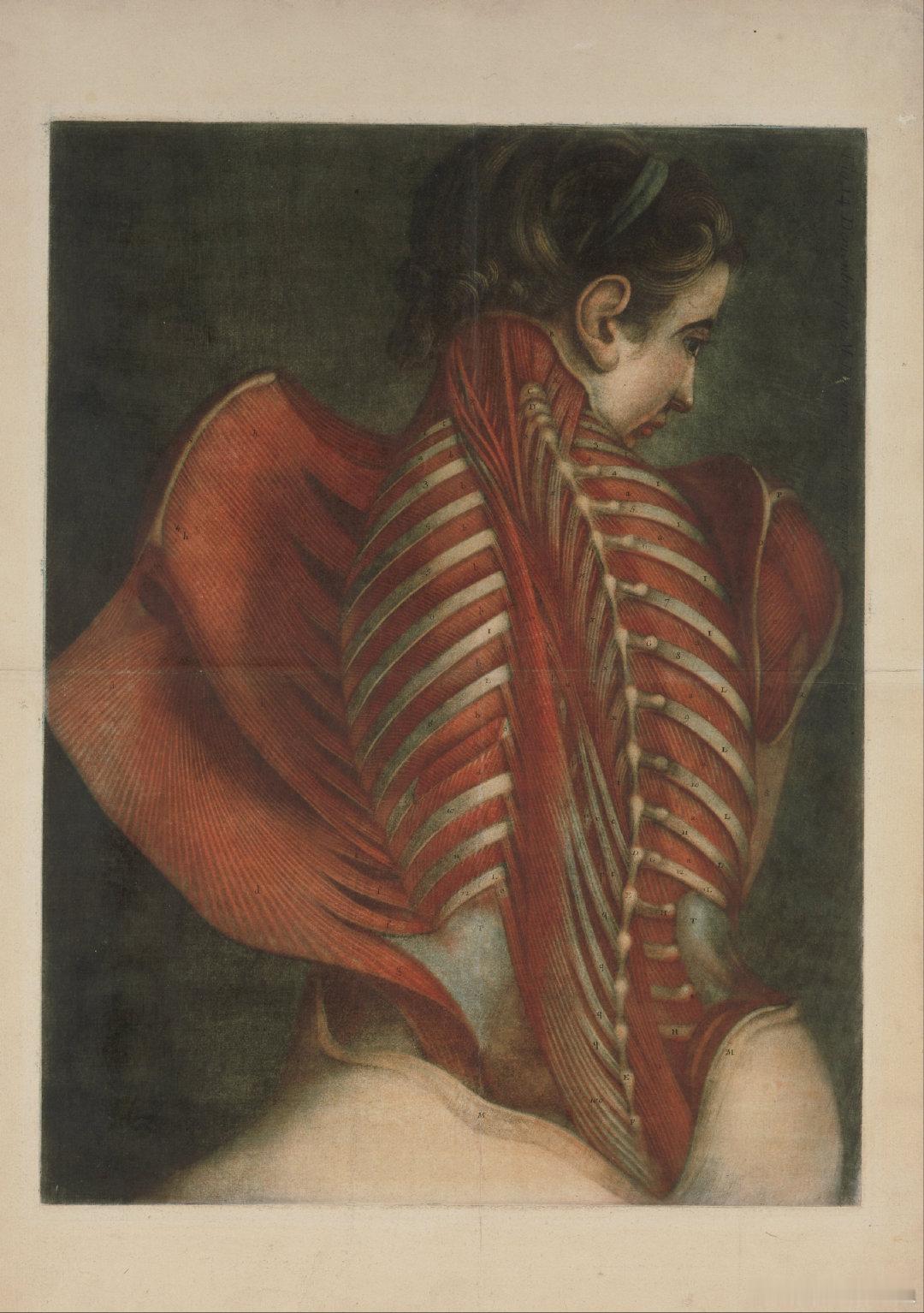 历史知识 法国画家Jacques Fabien Gautier d'Agoty 