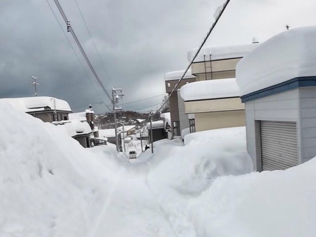 日本暴雪夺命46条！雪景变“雪葬”，这背后藏着什么惊天秘密？

一场看似浪漫的雪