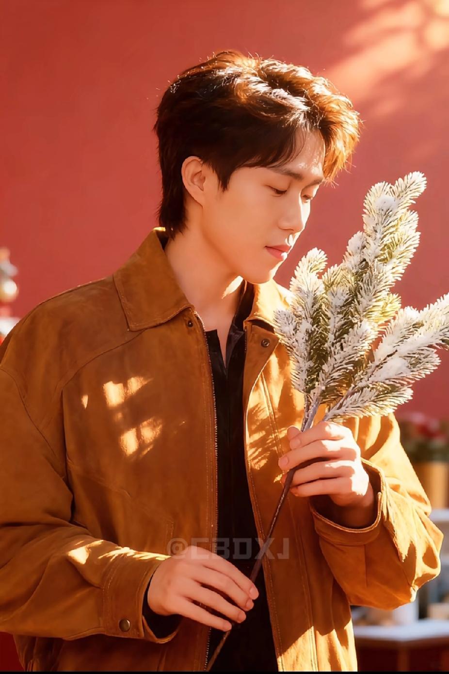 红墙暖阳下的王楚钦，手里捏着枝松枝的样子，像极了邻家大男孩出门逛市集随手挑了枝喜