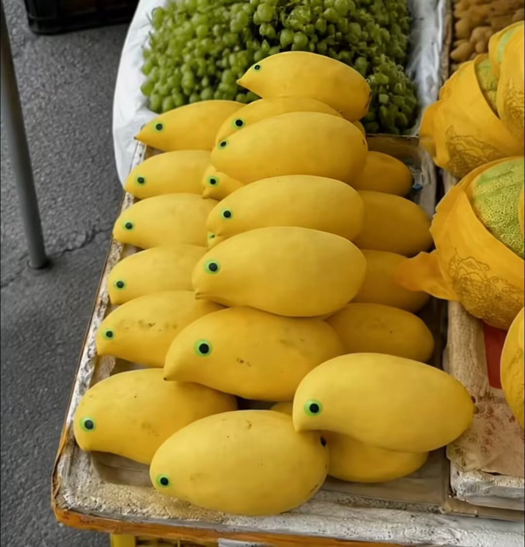 5578画龙最忌讳的就是点睛（ 