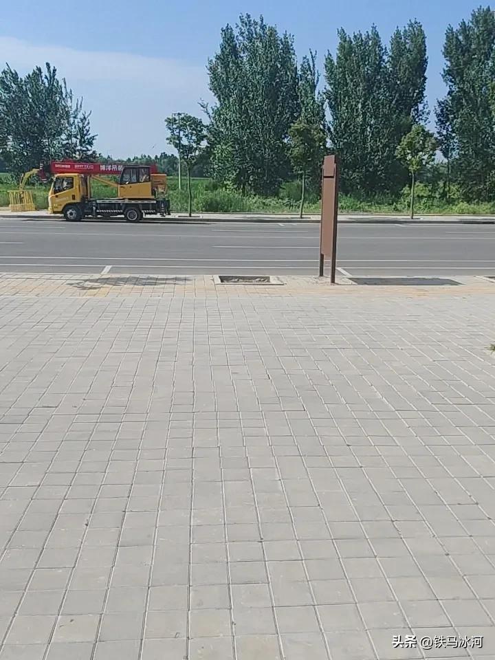 单位门口有颗枯树，好久了城建也不给换。最近门口又安了路牌，越发觉得那颗枯树不合时