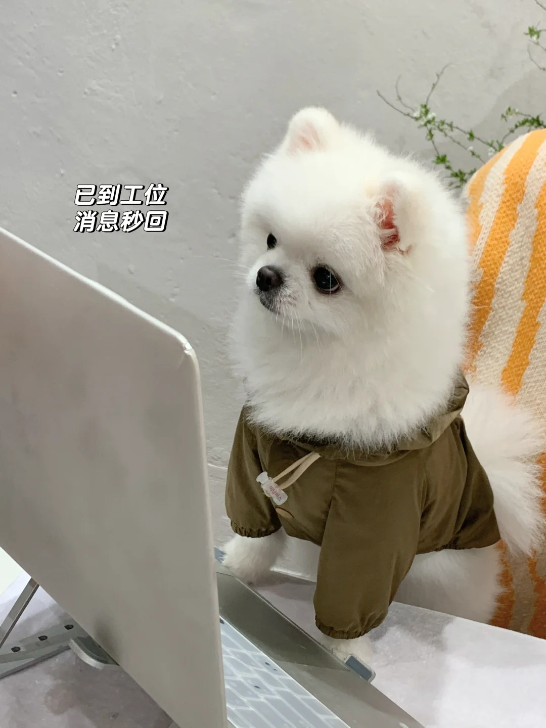 已到工位 消息秒回💌