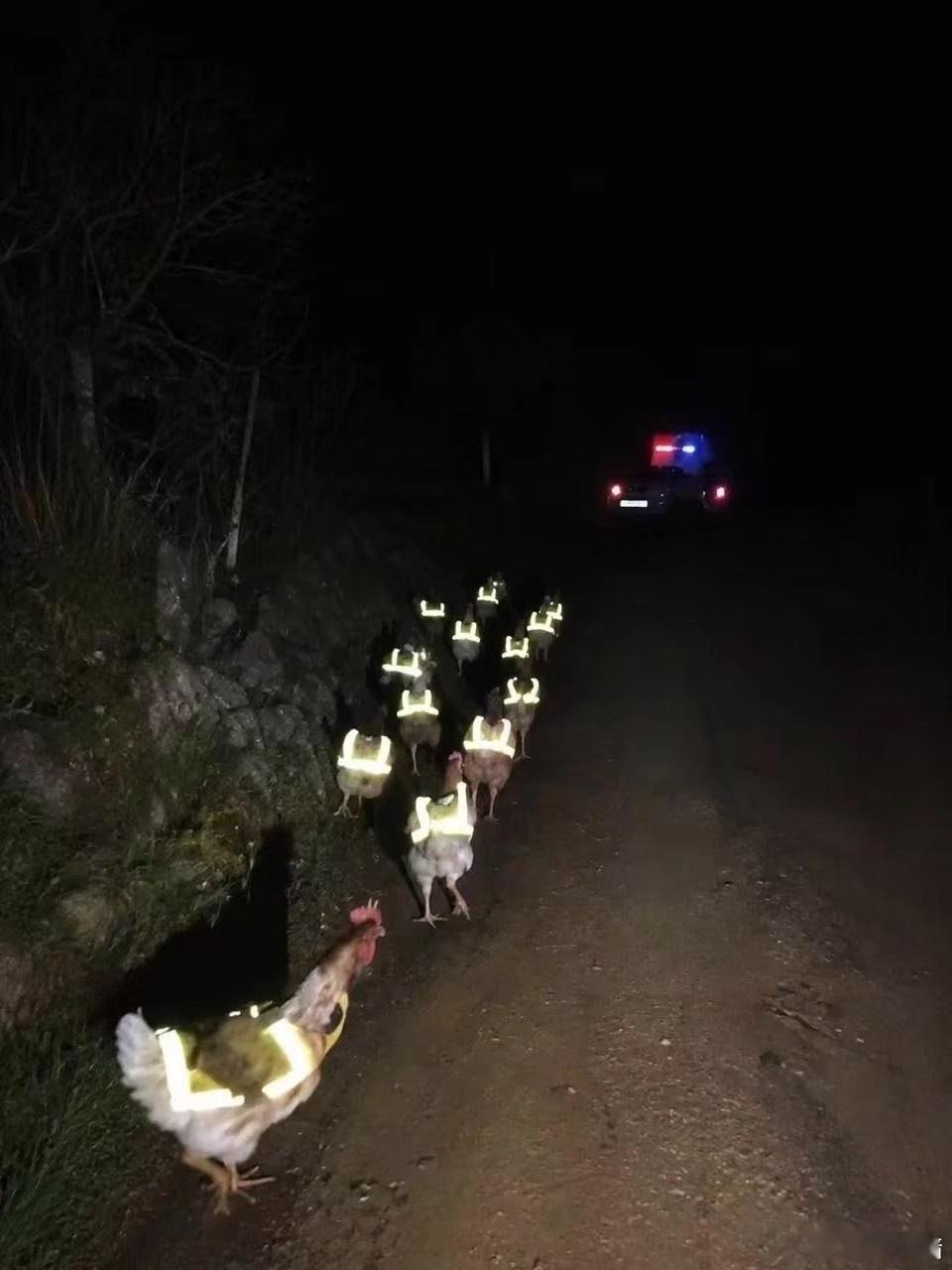 你们能看看这个吗这也太搞笑了。。。 ​​​