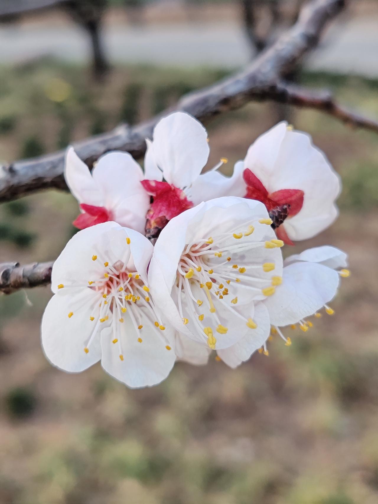 父母要告诉孩子哪些道理 父母一定要尽早告诉孩子这些道理。健康永远排第一，没好身体