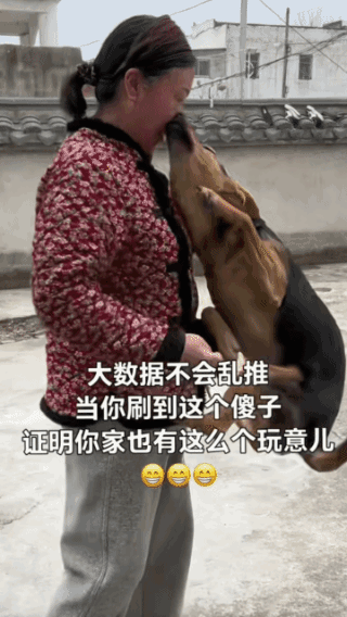 被狗偷袭了，
可又舍不得打它！