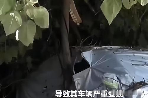 广东佛山，一男子把迈巴赫停在无人居住的邻居别墅门口，没想到，晚上刮了台风，他的车