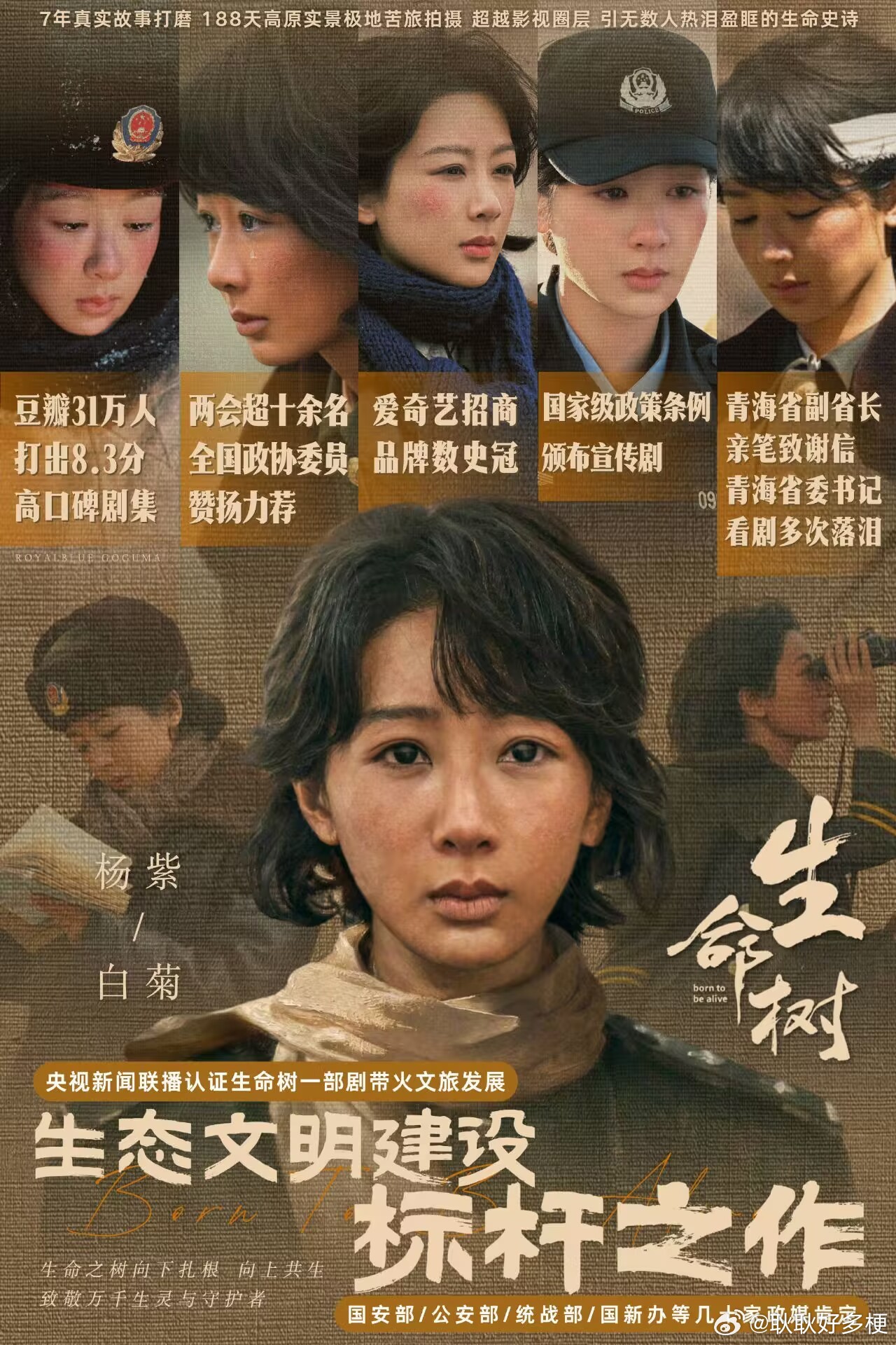 生命树恭喜杨紫四提白玉兰！并且史上唯一连续三年三提视后第一人！白玉兰最大赢家是爱