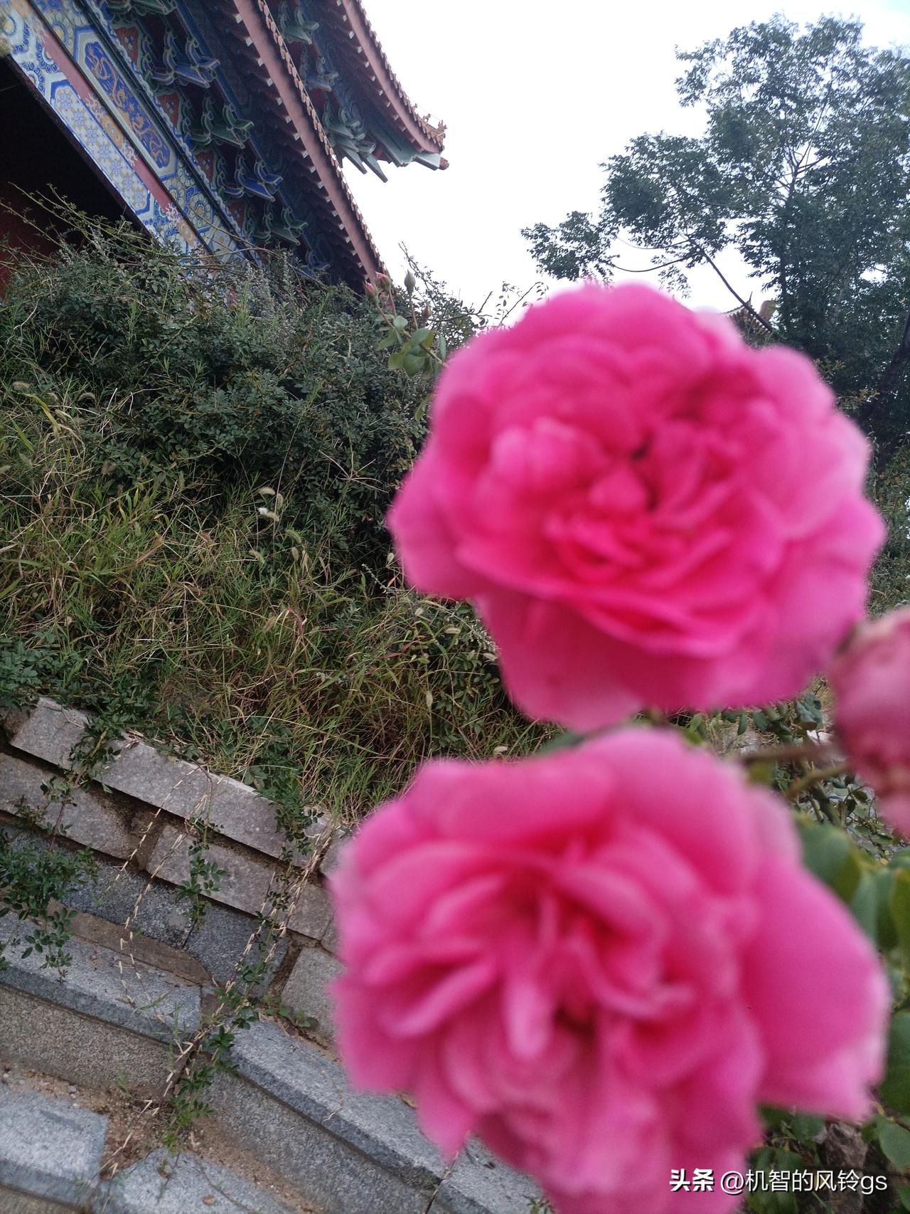 晒图笔记大赛国庆节快乐，身体健康，万事如意