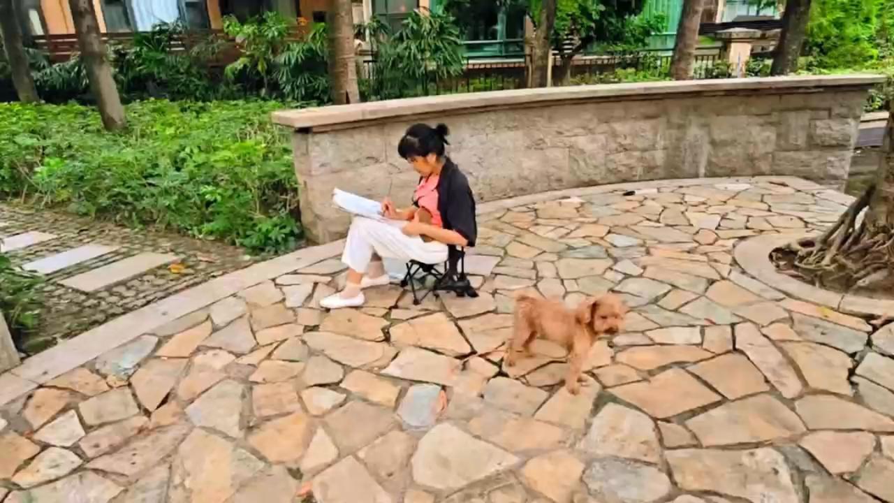 晒出你的本地生活小院子小狗与我