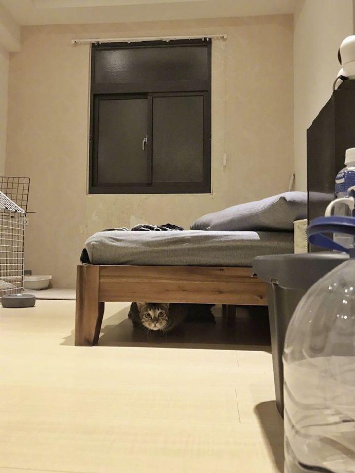 去姐姐家住了几天，结果被监控了...