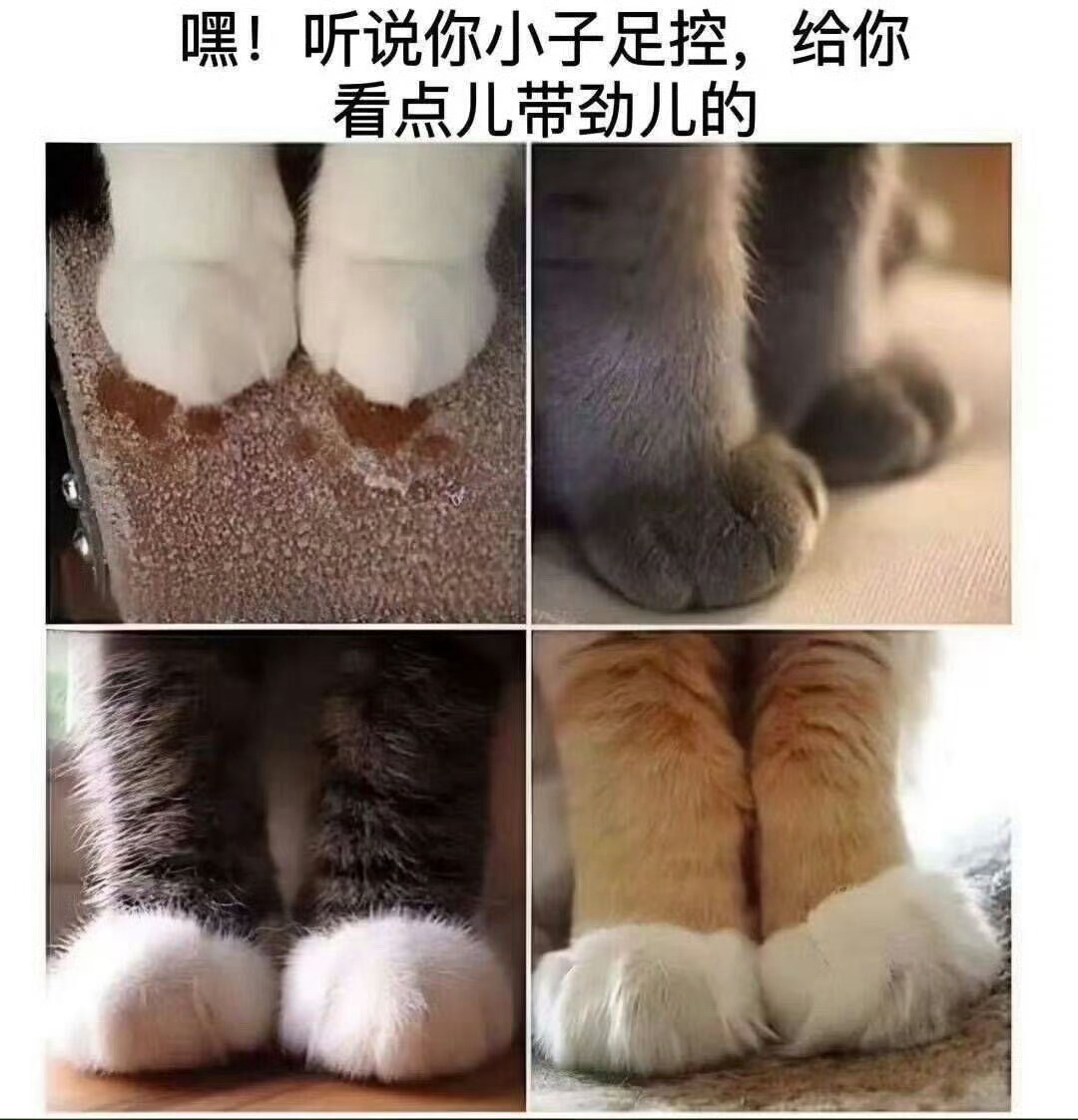 够带劲 ​​​