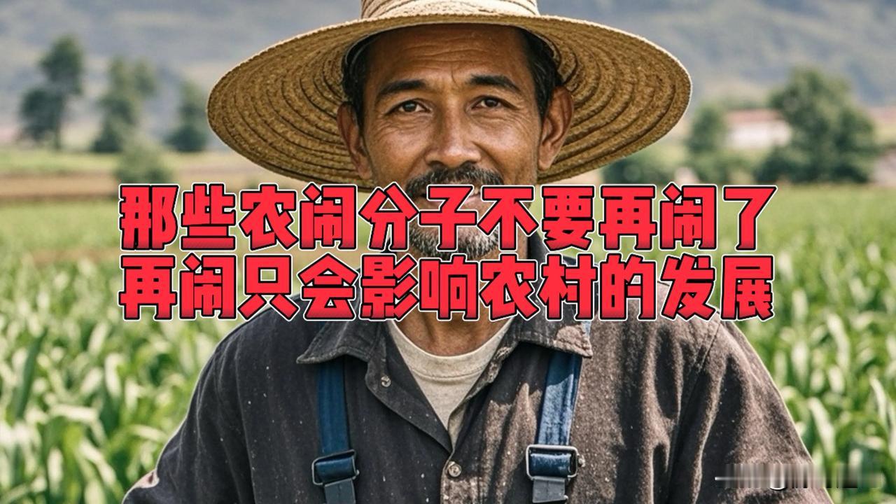 那些所谓的“农闹”分子，你们就不要再闹了，你们再闹下去，只会伤害了自己，只会让咱