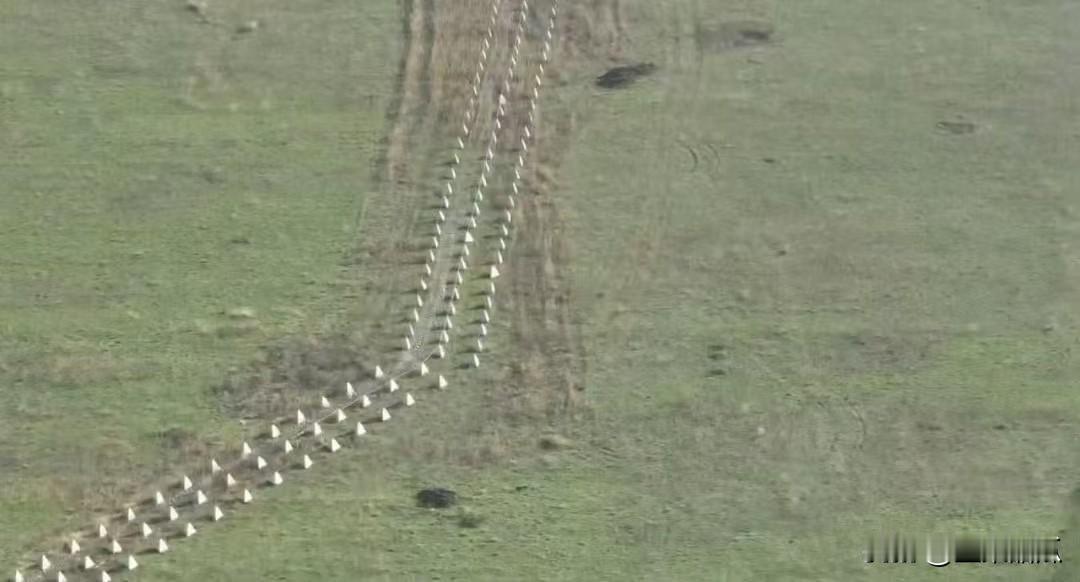 女督军贝祖格拉亚的话，还是很有效果的，乌军现在在扎波罗热，第聂伯罗彼得罗夫斯克的