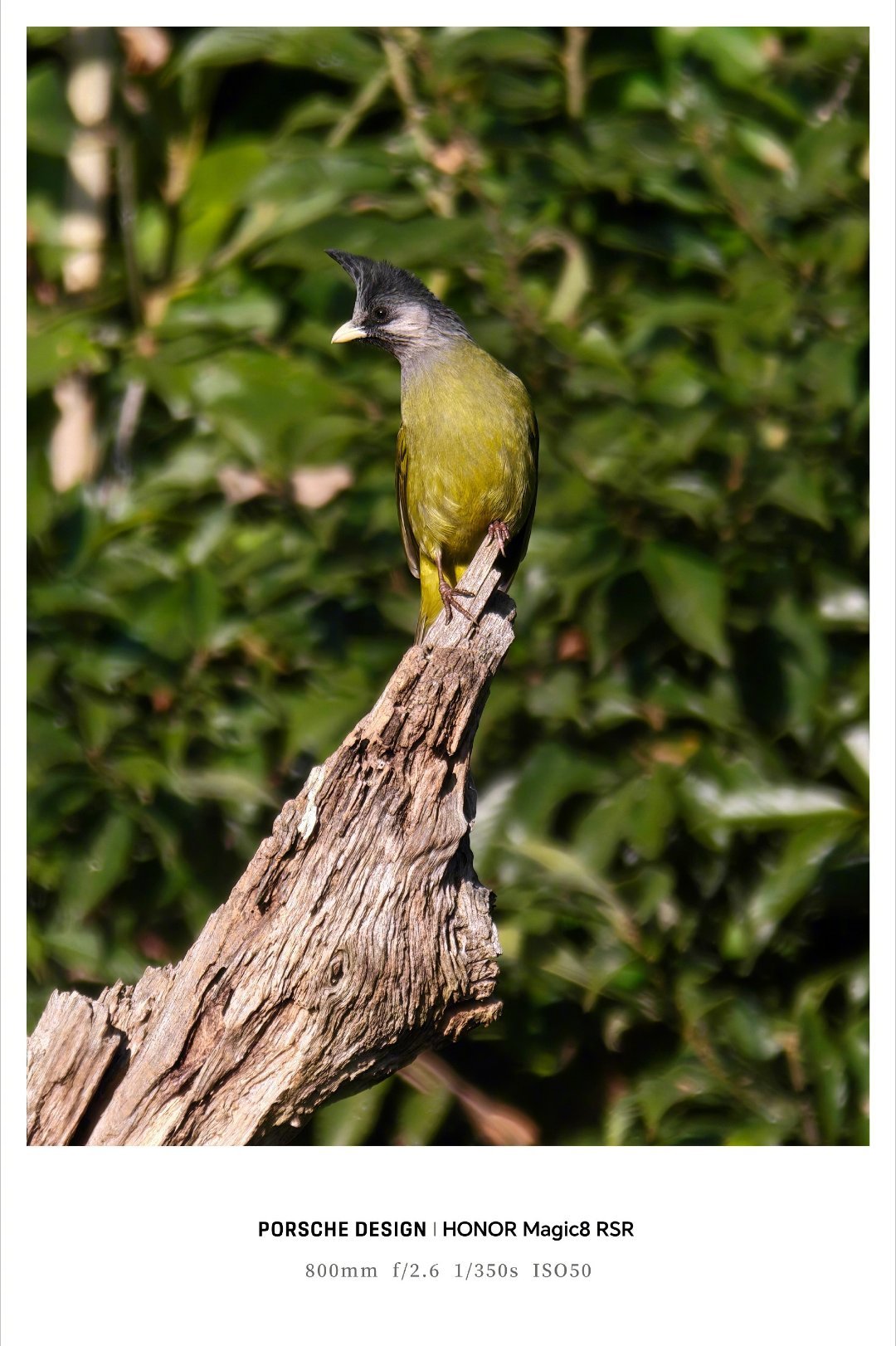 荣耀Magic8 RSR的保时捷设计，很多人只看到外观，其实内涵在影像套装的工程