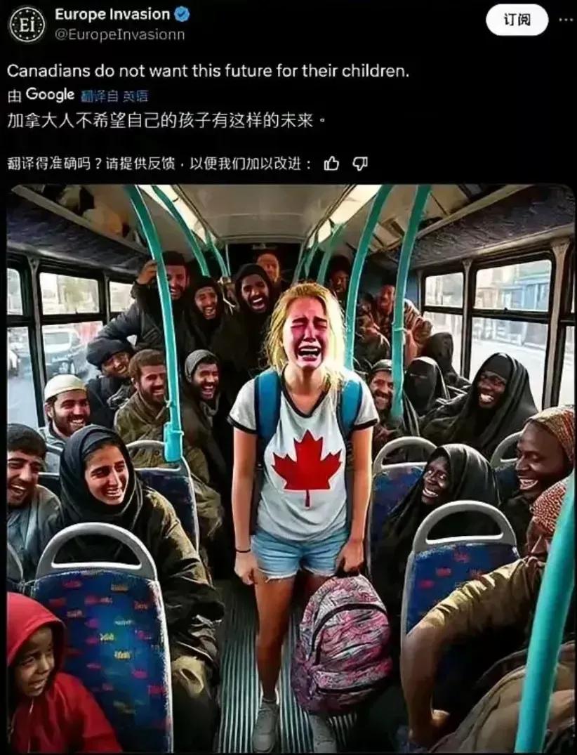 这是加拿大网络上，最火的一幅画。一个加拿大妹子，习惯性地坐公交车回家，可等上了车