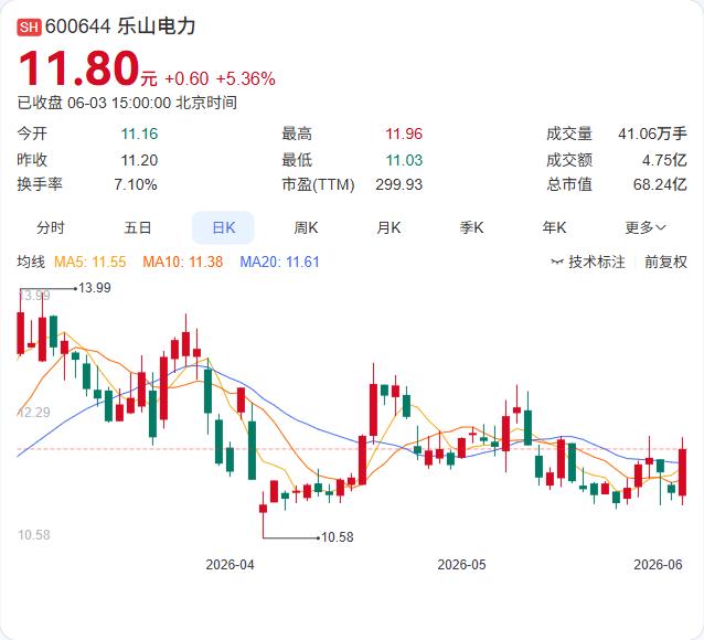 100万元撬动2.47亿元大项目？乐山电力这波操作挺“轻巧”。6月3日晚间公告，