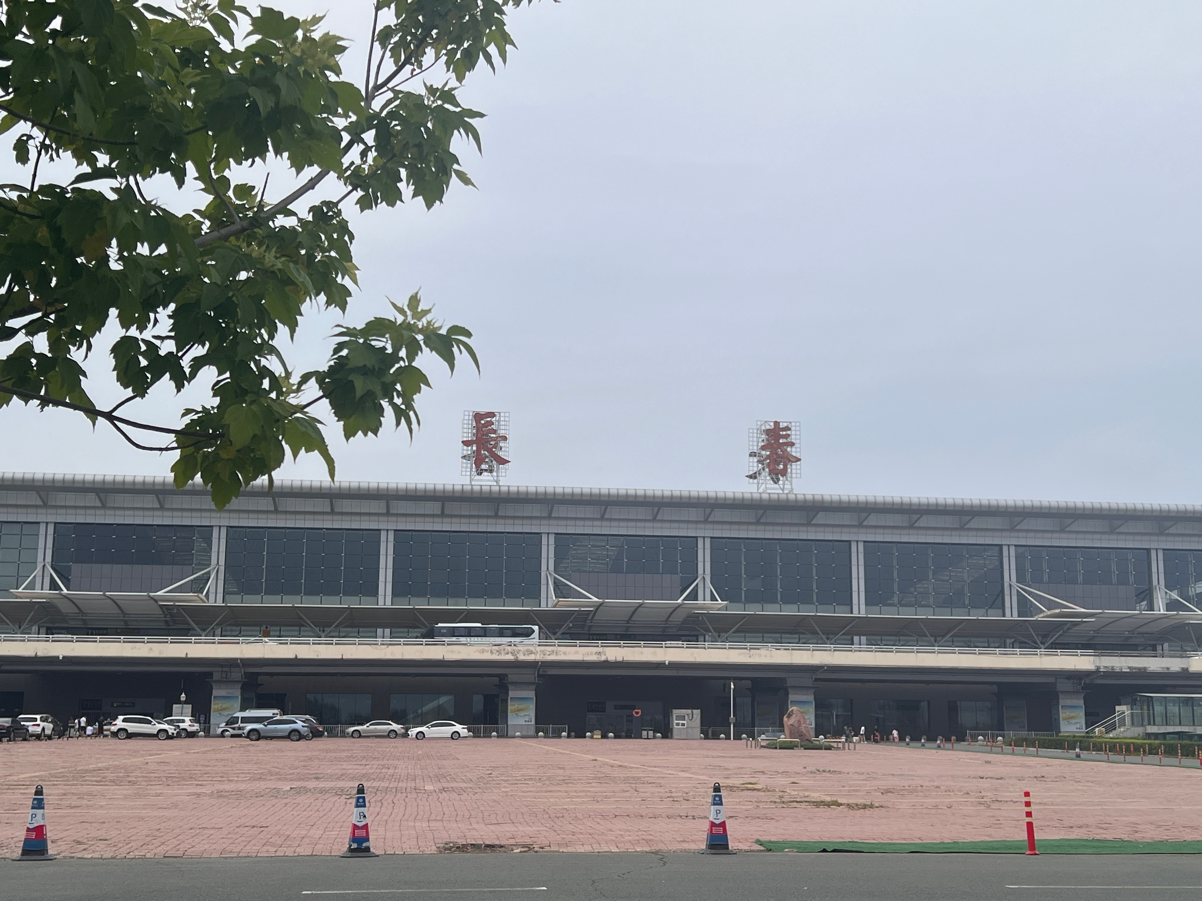 晒到位了[苦涩]脸和胳膊不是一个色[doge]  ​​​