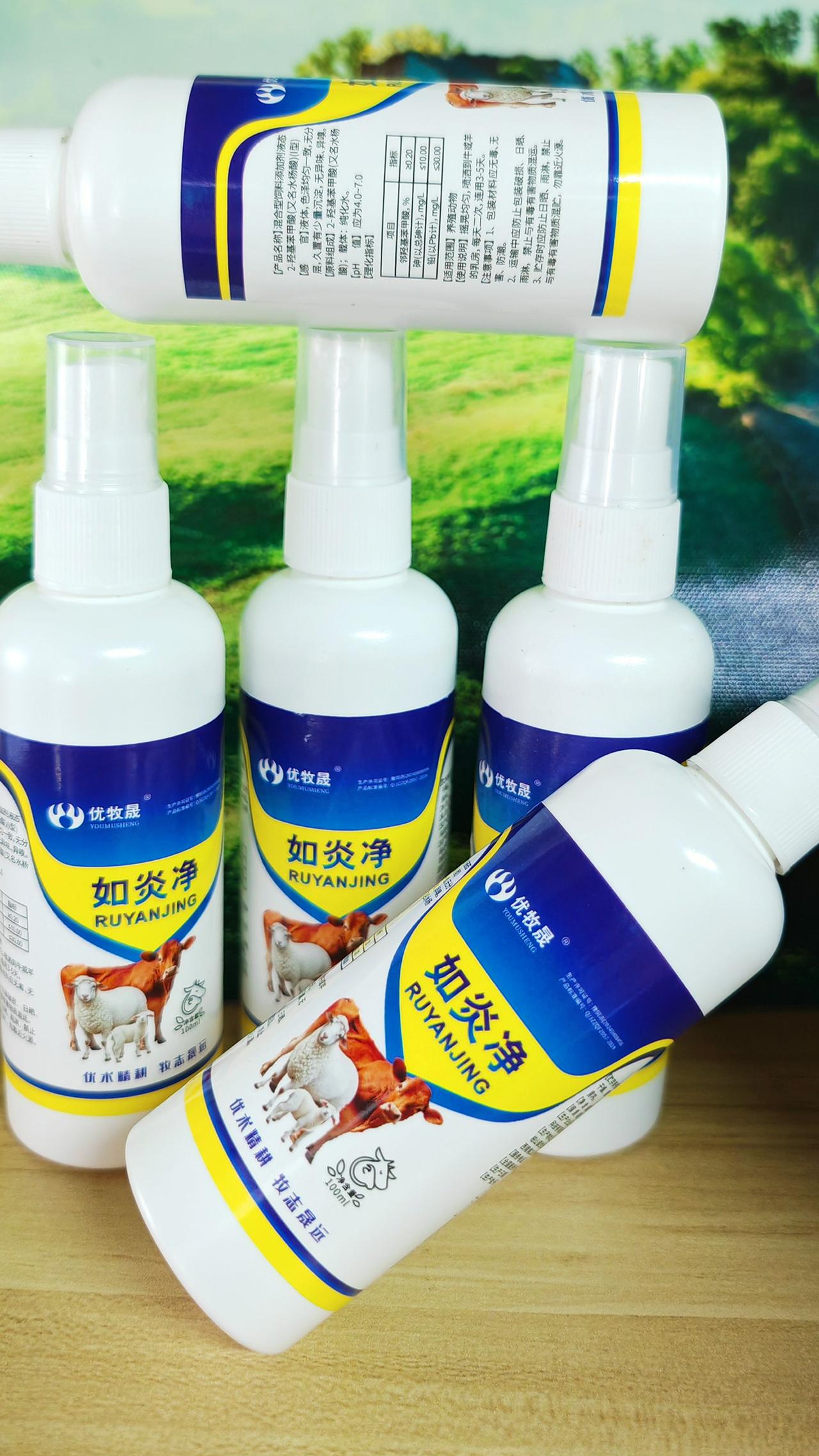 养羊农村养羊 牛羊养殖