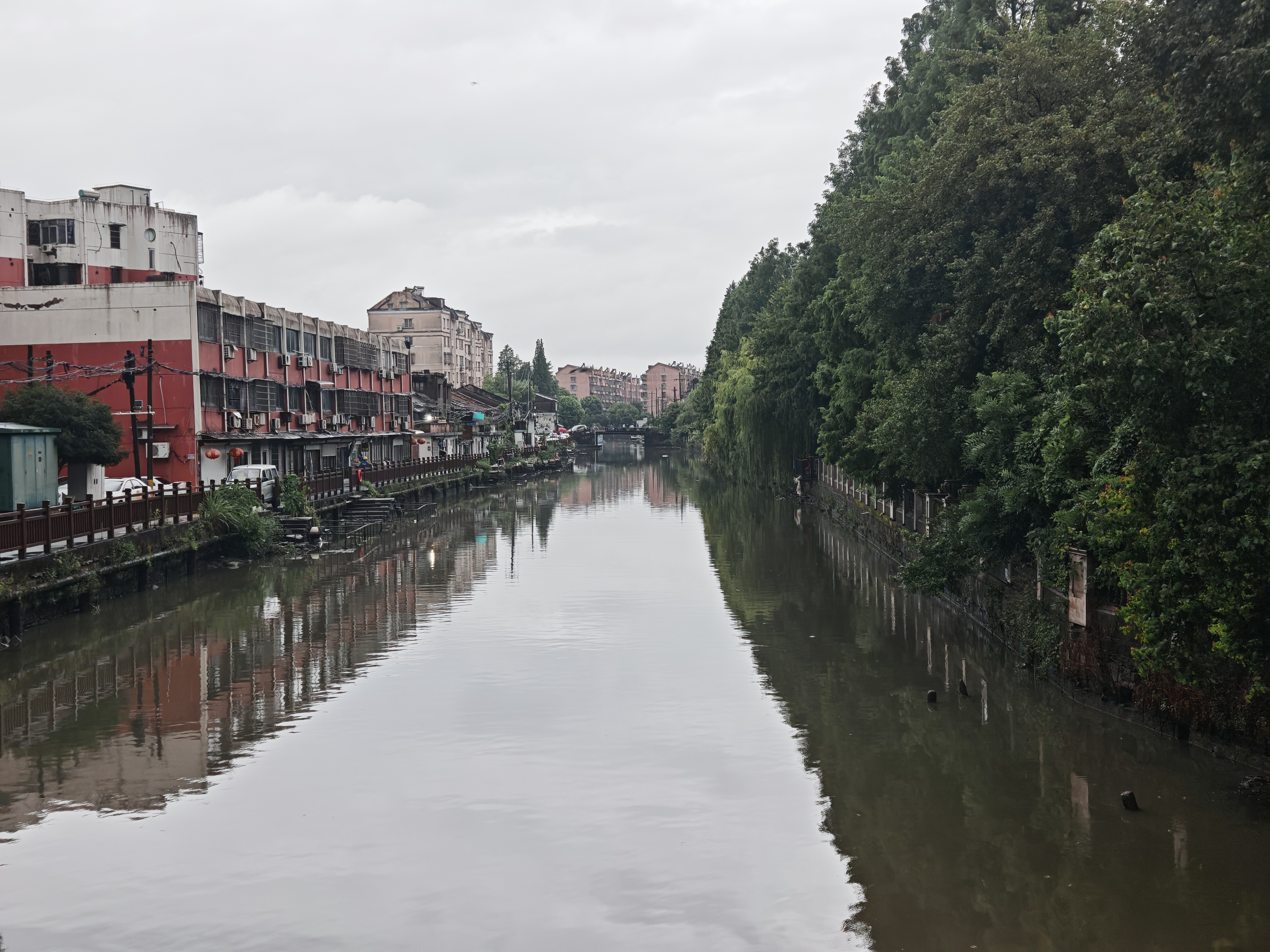 快上车吧[超话] 下雨了 水鸟在想什么呢 ​​​