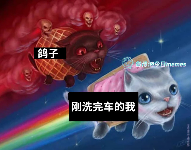 宿敌（9gag）今日meme今日memes
