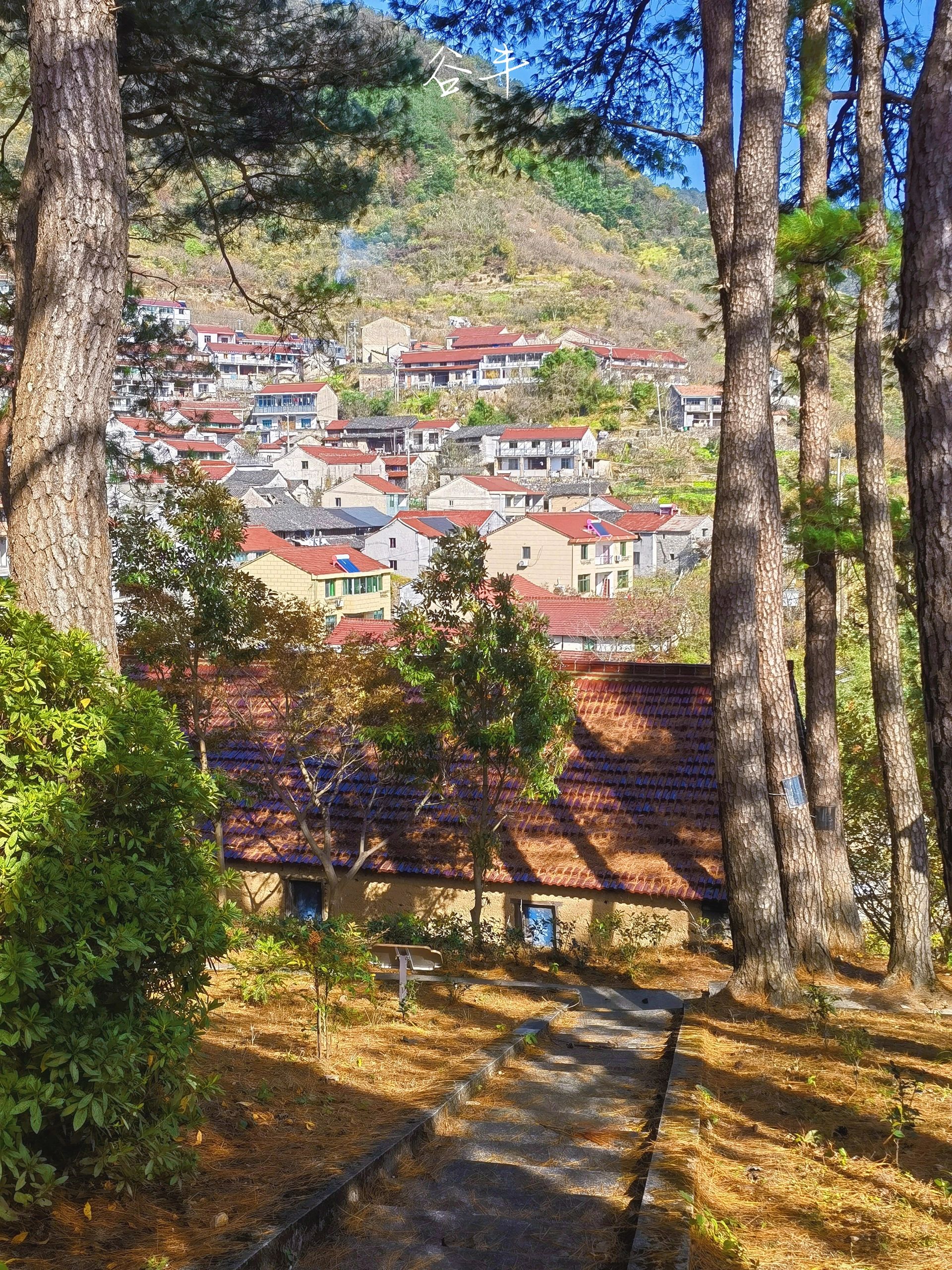 宁波冷门|藏在深山少人知的原生态古村秘境