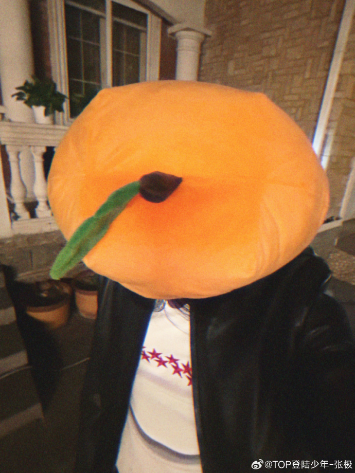张极橘子头套 被张极的橘子头套狠狠可爱到！元气满满又温柔细腻，连橘色小细节都充满