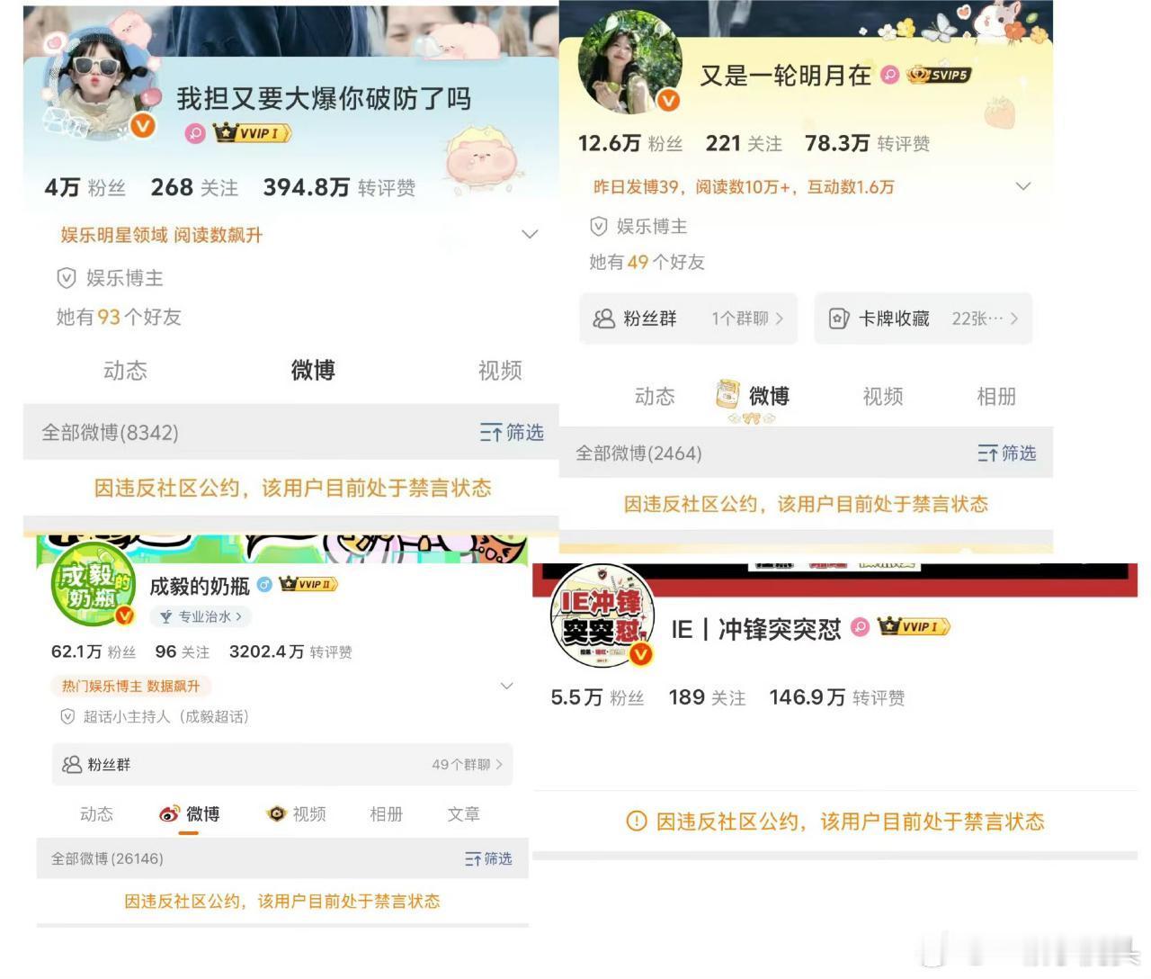 赴山海扑了，粉丝到处造谣国家级的晚会，被禁言了。 ​​​
