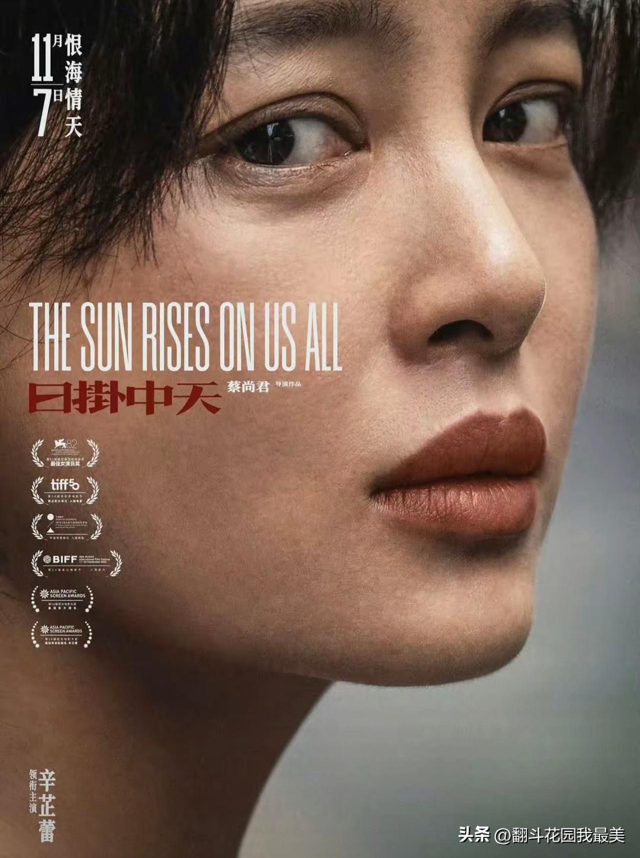威尼斯影后回国，

连金鸡的门都没进。

我觉得辛芷蕾这次落选其实不冤。首先来说