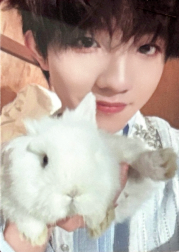 兔子抱兔子～🐰苏新皓