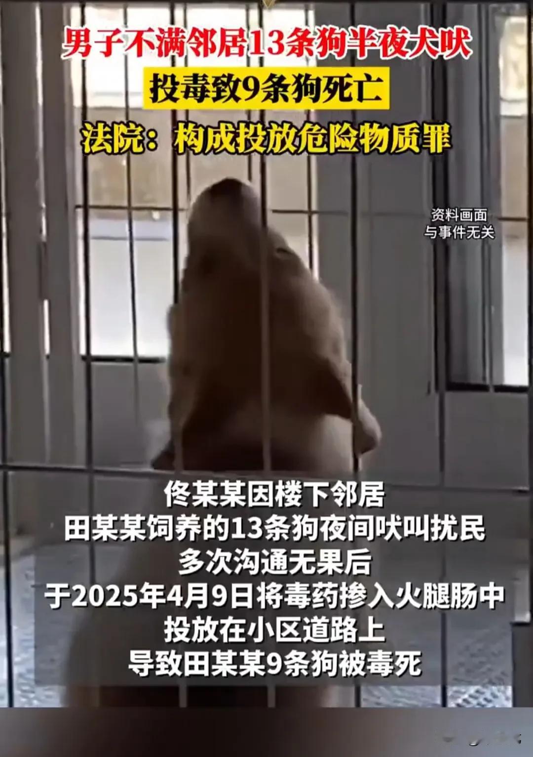 邻居饲养的13条狗狗深夜狂吠不止，男子不堪其扰，多次投诉未果，于是自行从网上购买