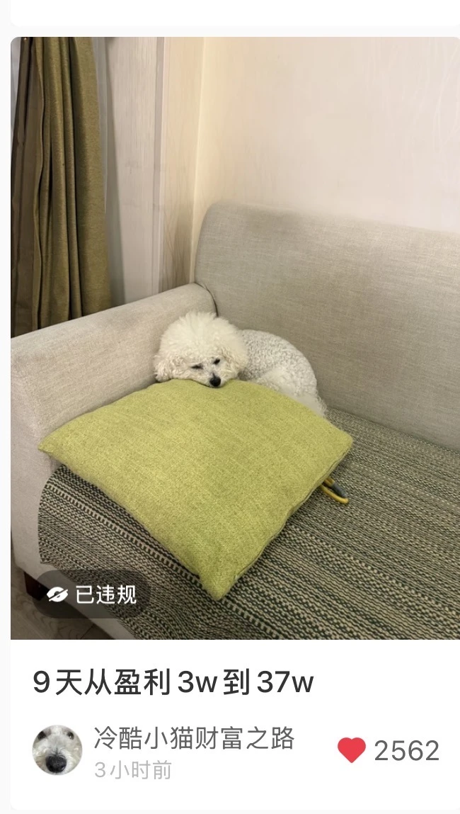 我也是没招了