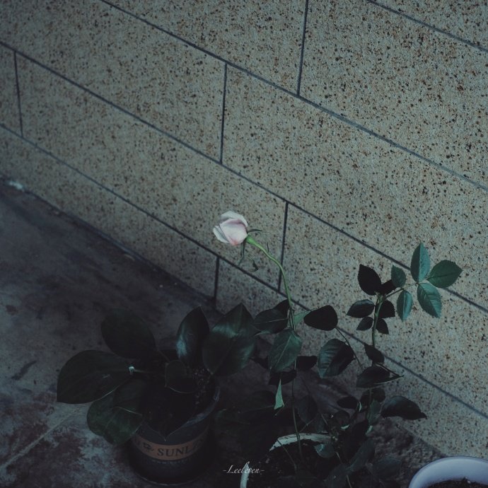 不用刻意合群 有趣的人自然会相互吸引。 