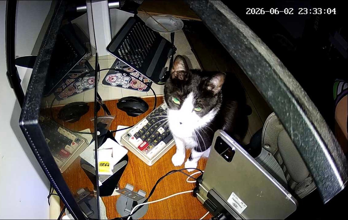 键盘，鼠标，平板，我要一件一件推下去。daily奶牛猫 （投稿：） 