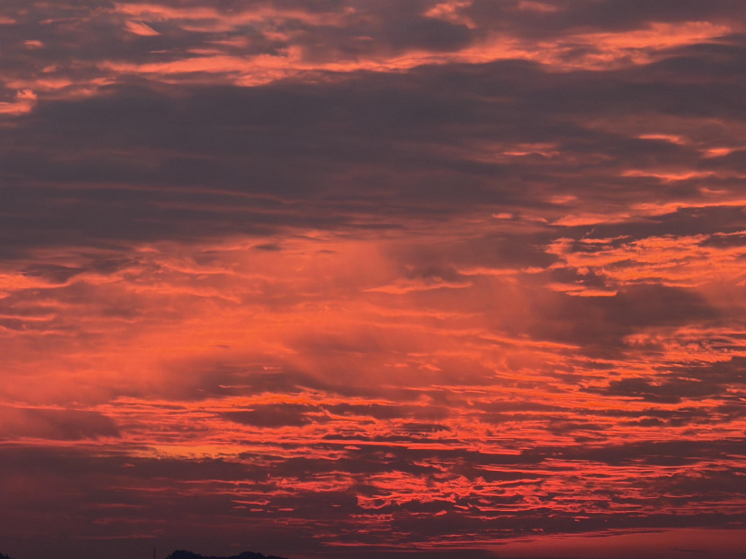 早上的风景我替你看了
